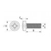 Transparent screw [170] (170052500022)