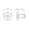 PEEK® socket head torx screw [187-1] (187102470409)