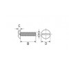 Slotted mushroom head screw [276] (276401000002)