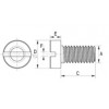 Slotted head screw [902] (902031000002)